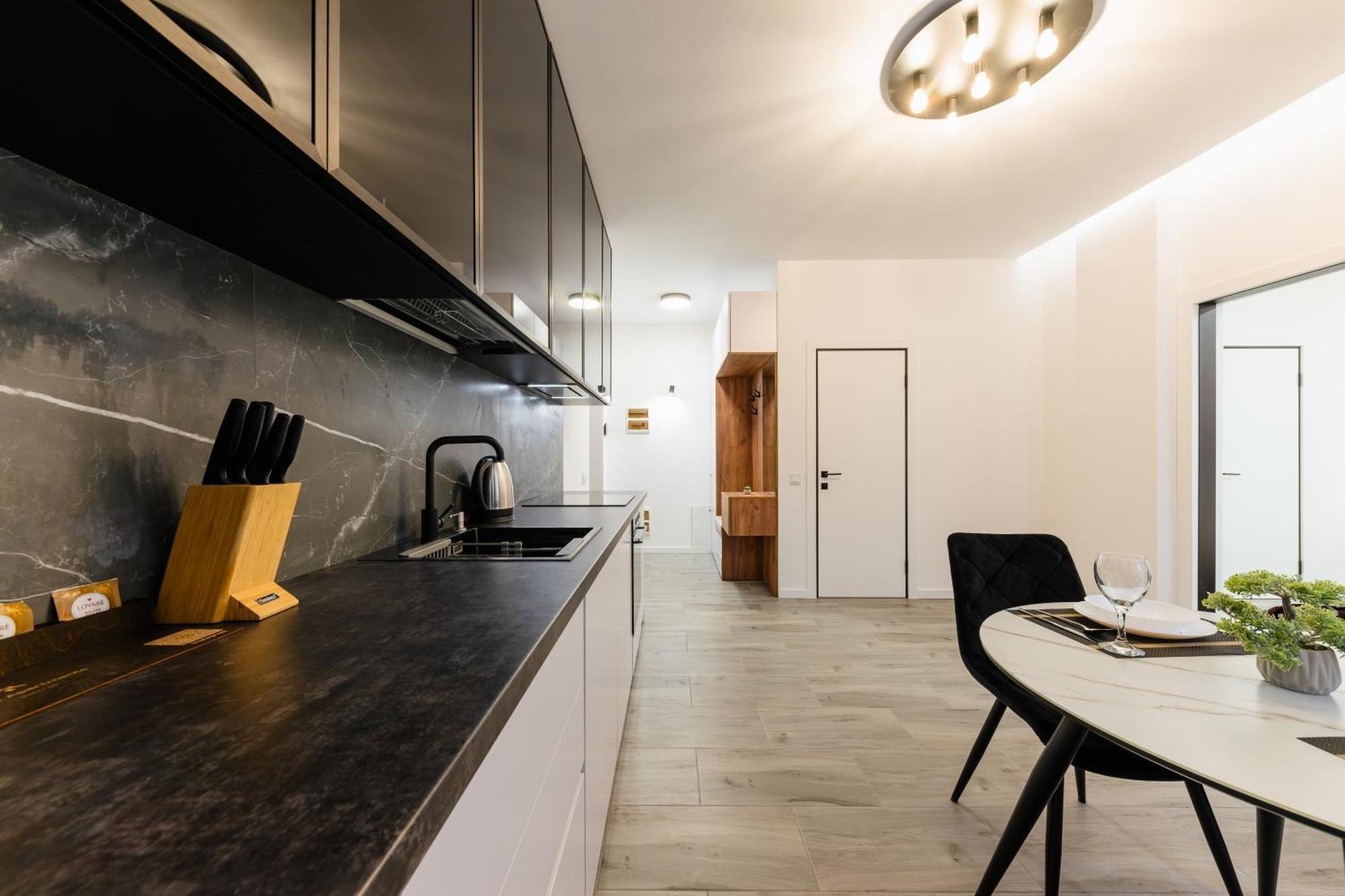 Luxury Apartments Laborca Uzhhorod Exterior photo
